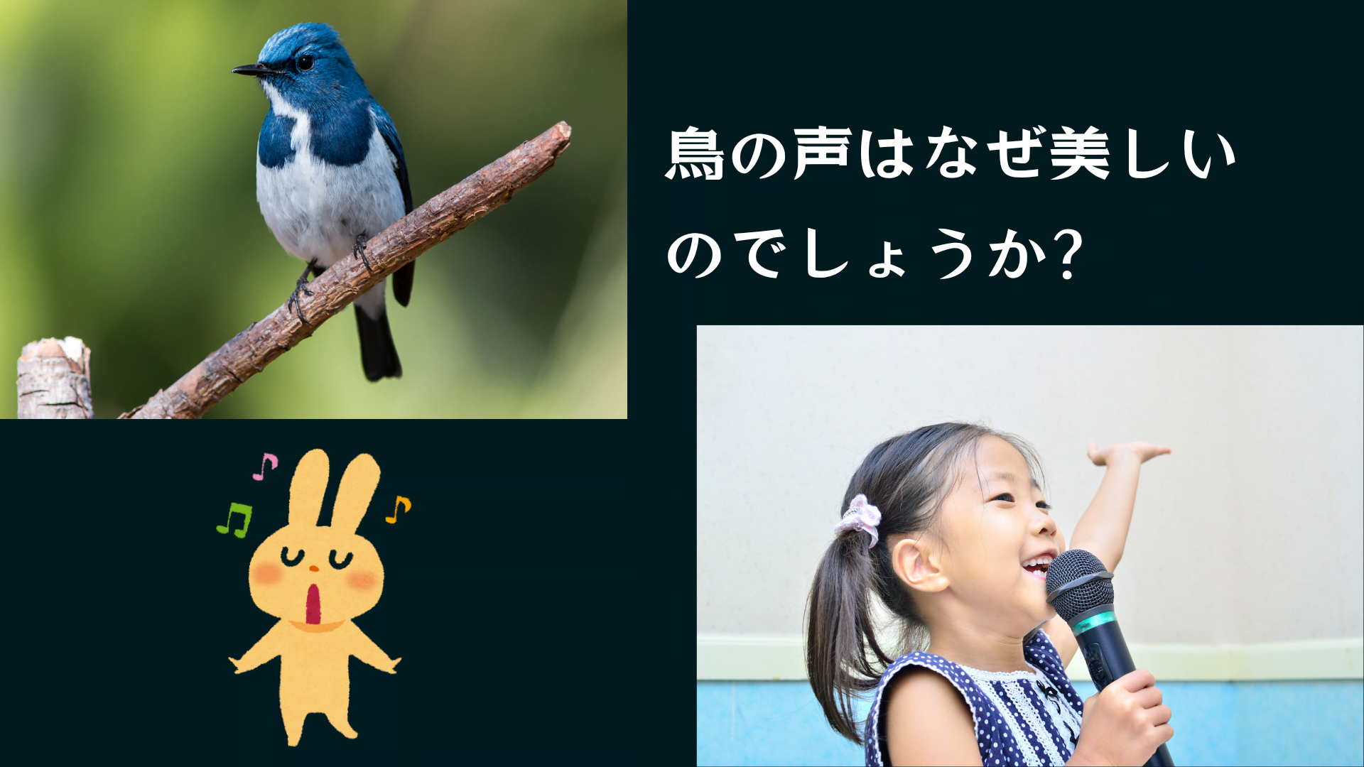 鳥の美しい声と子供が歌う姿
